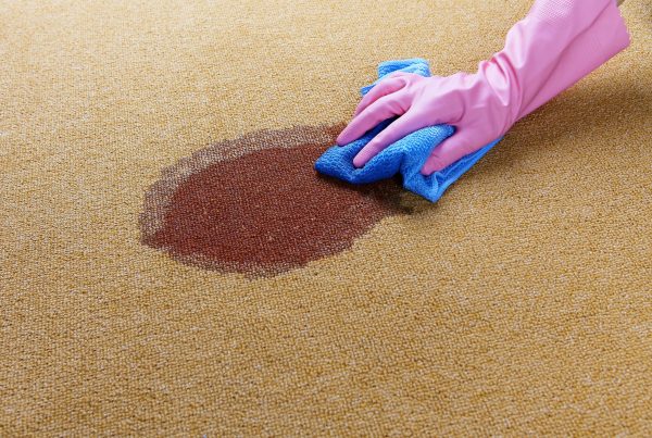 Carpet stains - our tips for removing them at Tech Floors
