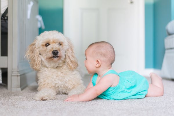 A cute puppy in a lush carpeted floor, next to an adorable baby who yet cant walk