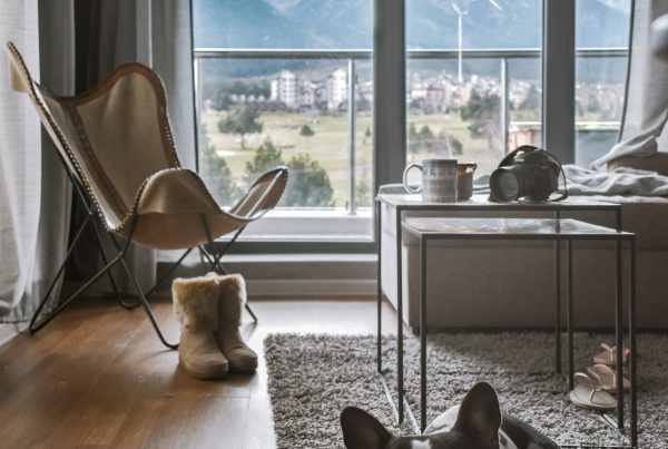 a cute dog laying on a rug on a wooden floor