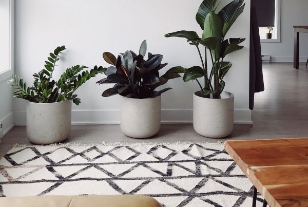 a funky carpet in a grey room